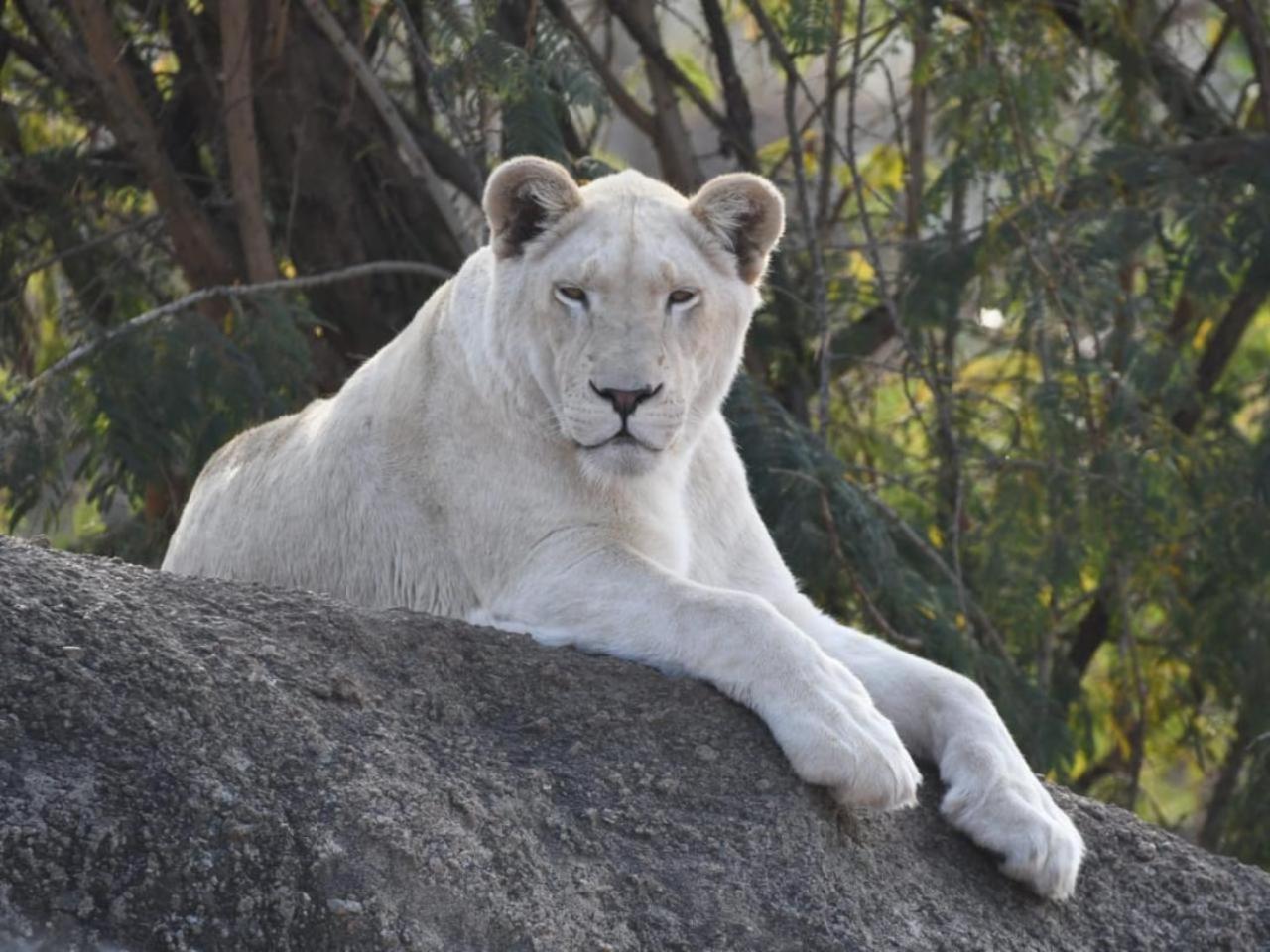 Lions View Accommodation Mbombela Exteriér fotografie